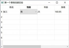 python通过pyqt5制作表格